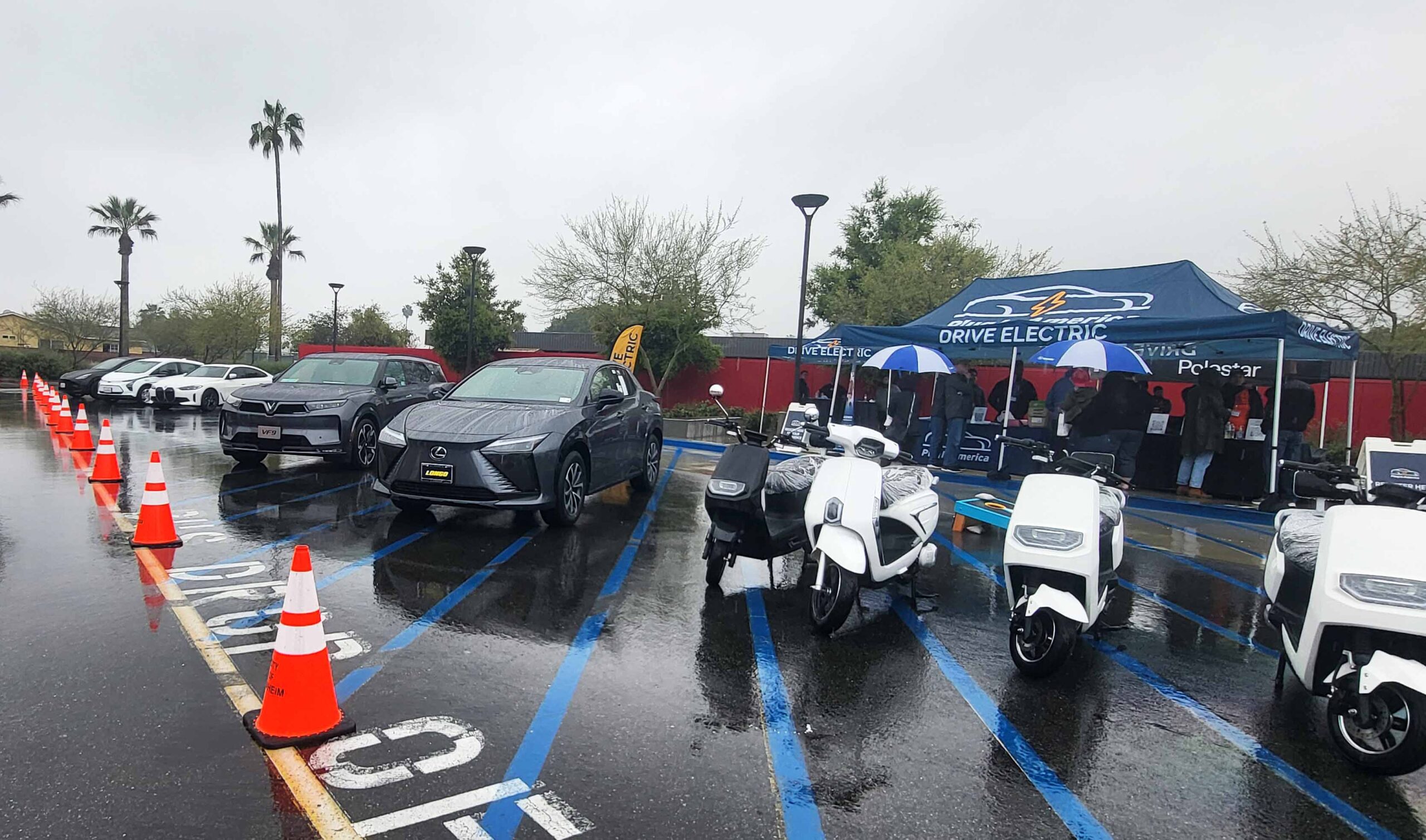 electric vehicles in a parking lot